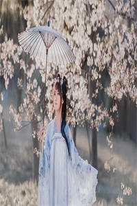 放女友自由后，我觉醒写歌续命系统陆沉柳如烟全文免费阅读完结版阅读