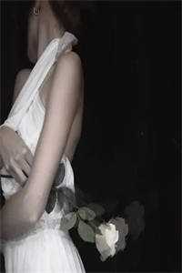 长叹雁归难留顾裴延江照璃最新章节在线阅读抖音小说全本阅读