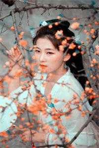 崇洋媚外宝妈侮辱国家英雄抖音热门最新章节阅读完结版阅读