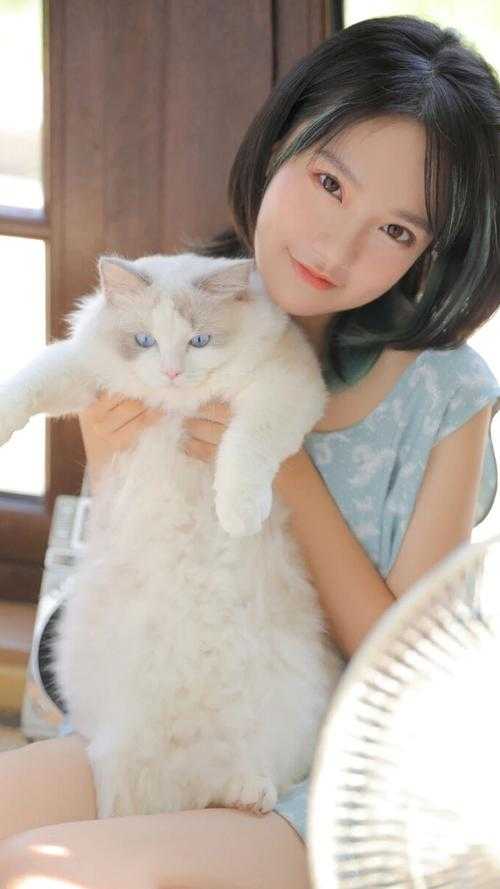 O转A后，我咋还被少帅强取豪夺了霍时晏池影全章节在线阅读完整版txt在线阅读