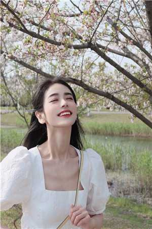 被指控团队抄袭后，我不解释了秦朗宁柔全文免费在线阅读完整版全本笔趣阁