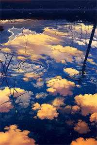 烟岚沉璧，孤舟枕月眠李沉璧沈孤舟免费小说在线阅读最新章节