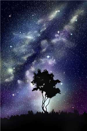 逐鹿顾言森沈星回完结版免费阅读全本在线