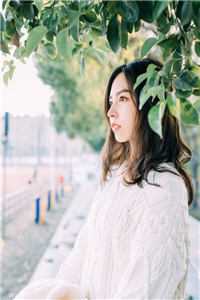 未婚妻怀了养哥的孩子，我闪婚了安颖秦沐枫小说全文免费阅读无弹窗大结局