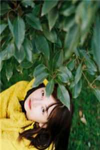 南风向晚，朝暮已迟裴夜迟阿迟精彩小说完本小说下载