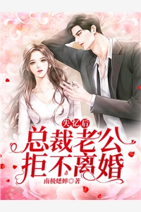 风卷云舒，爱意抉择沈白鸣安秋雪完整版免费阅读已完结小说