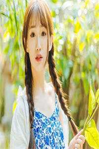 订婚宴换人后，顾家兄弟悔疯了顾南风秦如烟全本笔趣阁小说在线免费阅读无广告