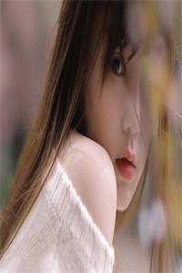 月西沉，孤星坠晚洲苏念棠谢清晏的小说完结版免费阅读