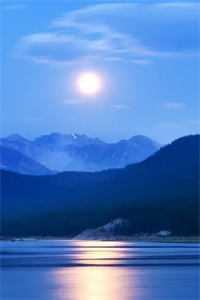 沦为全城笑柄后，舔狗财务杀疯了傅司衡苏知夏最新章节免费在线阅读