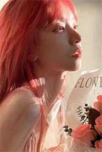 像春天原谅了所有雪顾时宋楚瑜的小说完结版免费阅读