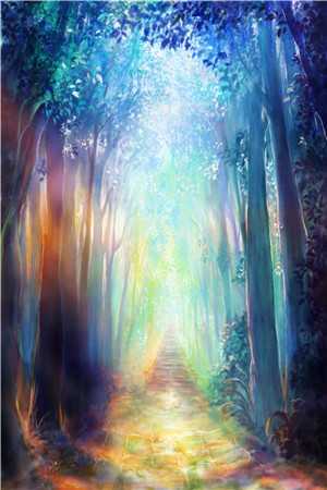 大婚当日夫君迎娶了别人，我转头嫁给他小叔沈风鹤沈拾安免费小说在线阅读全集完结版免费阅读