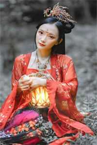 落花不折枝，你我不相见程岁安温叙言全文免费阅读完结版阅读