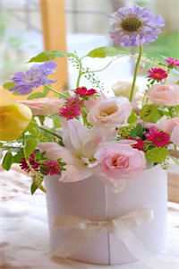 梨花尽落，相思成雪宋聆风苏玥全本免费在线阅读