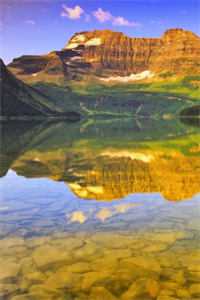 重返八零，大学生老公改娶厂花后悔哭了林志扬袁玉美全文免费阅读完结版阅读