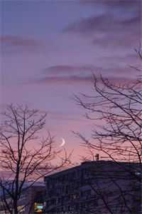 爱也沧沧，恨也沧沧宋南乔贺景川全章节在线阅读