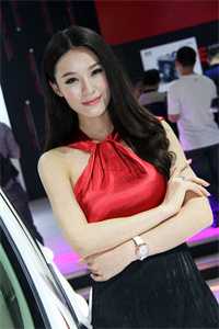 我们终究两不相欠苏念瓷裴沉野全文免费阅读无弹窗大结局