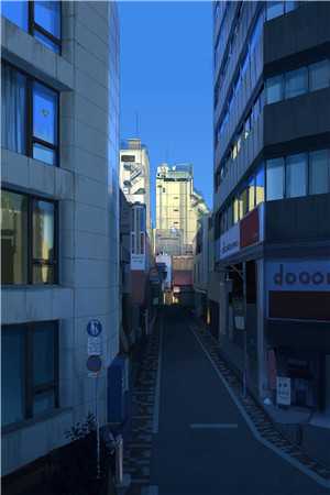 白昼染尽星辰海:爽文免费全集在线阅读小说无删减