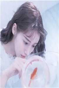 南枝不向东橙橙傅东最新章节在线阅读抖音小说全本阅读