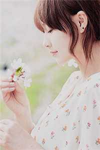 兰因絮果，痴情总被无情误沈若琳谢子恒最新章节免费在线阅读