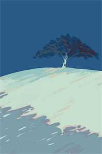 重生以后，我改嫁给了霸道九千岁沈南星傅九离全本免费在线阅读