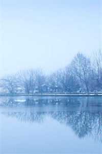 引诱：大小姐把反派撩成了恋爱脑全文小说