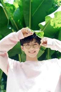 官途畅销小说推荐