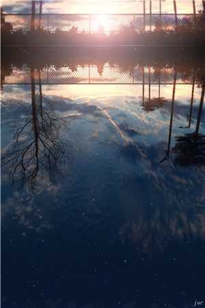 仙子别回头，我舔完就开溜畅销书目