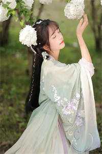 我能提取妖兽能力全集小说推荐