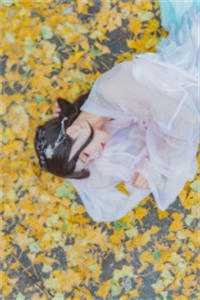 全集小说综武:天下第一栈