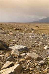 全本小说废物皇子,开局娶了第一女将