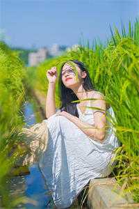 重生:花光千亿的我在末世乘风破浪长篇小说