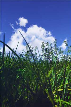 神豪争霸:我走向赛季巅峰精选篇章阅读