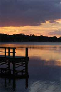 末世:孕妈她被迫捡物资养崽文章全文