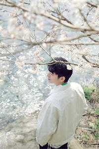 网游:我,SSS级天赋,碾压全球精品文