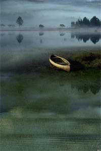 让你写书，没让你交代犯罪记录！精选篇章阅读